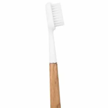 Brosse à dents en chêne